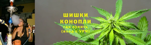 apvp Гусь-Хрустальный