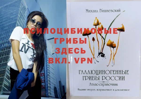 бутират Гусев