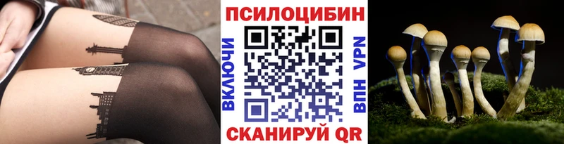 Купить закладки  Инта  Псилоцибиновые грибы прущие грибы 